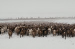 &copy; Nicolas Mingasson