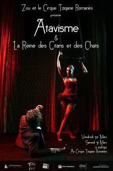 Affiche ZOU et le cirque tzigane Romanes
