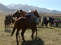 Le petit cheval kirghize