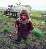 &copy; Photo Liudmila Lipatova