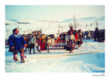 &copy; Photo Liudmila Lipatova